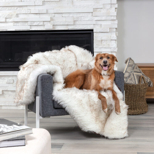 Dog discount fur blanket